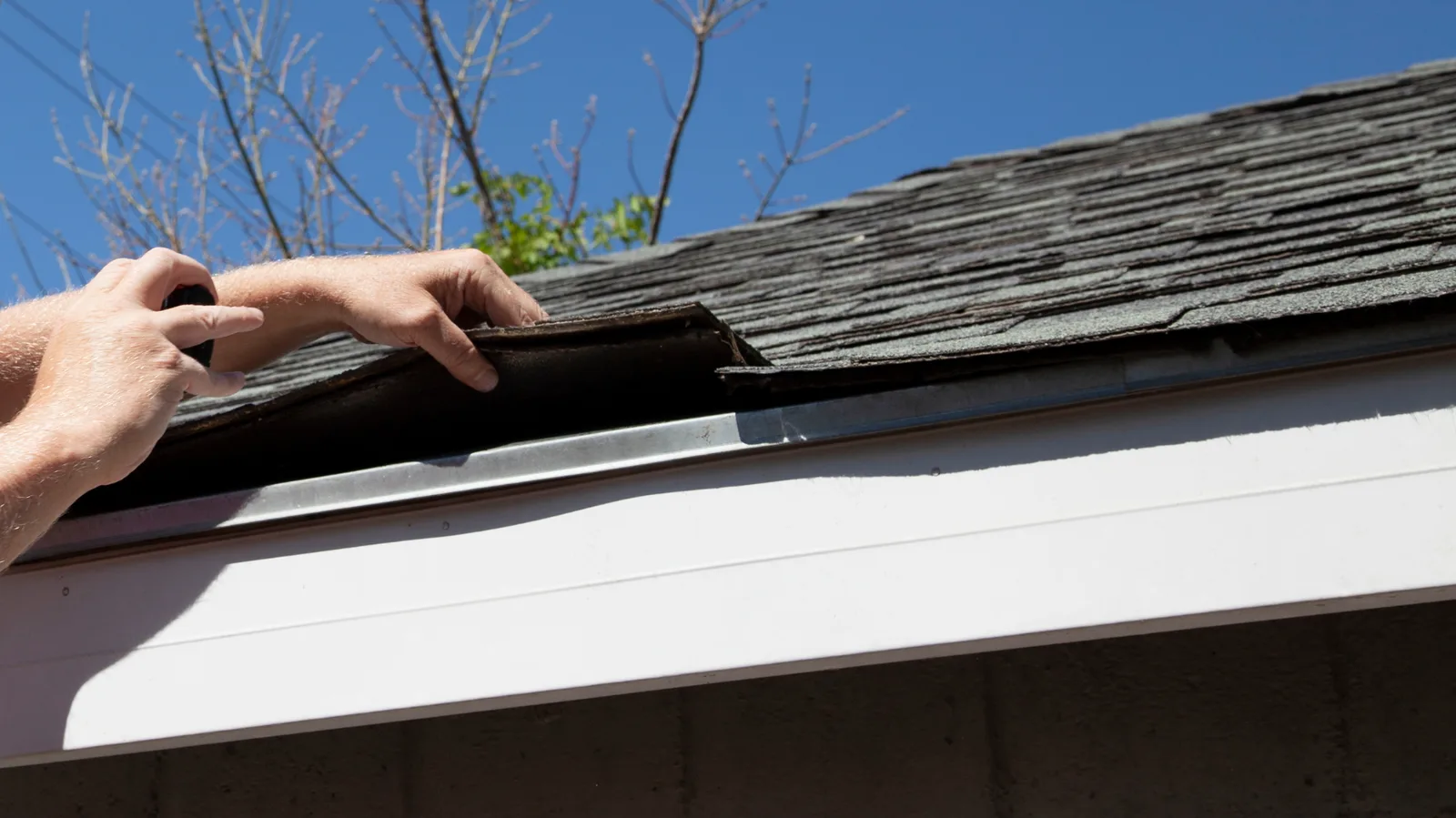 A roofer lifting a curled shingle edge at the roof eave